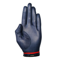Asher Anapolis Glove - Right (for lefties)
